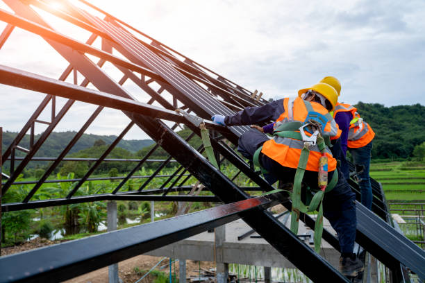 Best Storm Damage Roof Repair  in Atlanta, IL