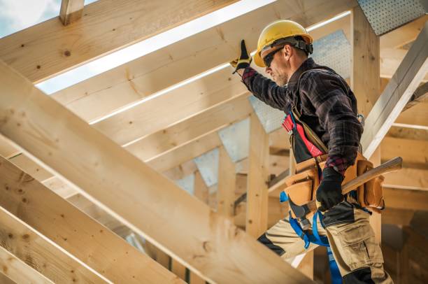 Roof Gutter Cleaning in Atlanta, IL